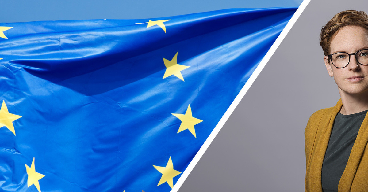 Vilket år Gick Sverige Med I Eu